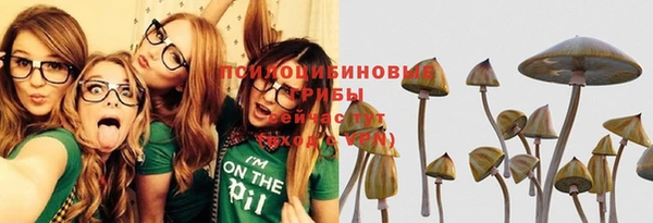 ECSTASY Алексин