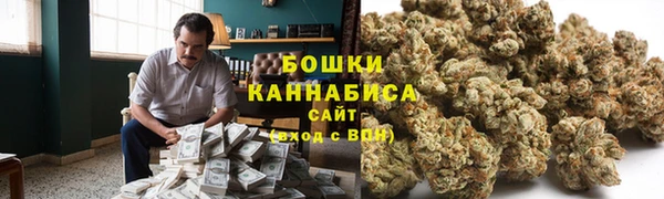 ECSTASY Алзамай