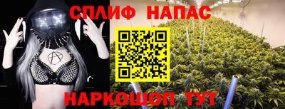 крисы Апшеронск