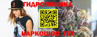 крисы Апшеронск