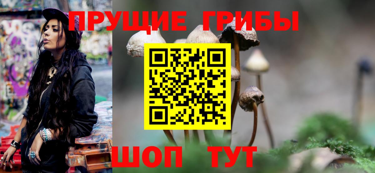 Галлюциногенные грибы мицелий  Вход с VPN  Ачинск 